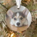 Search for pembroke welsh corgi christmas tree decorations Pet