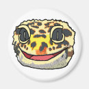 Search for geckos magnets Leopard gecko