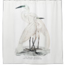 Search for herons Wildlife