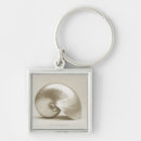 Search for fragility key rings Shell