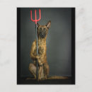 Search for devil dogs Halloween