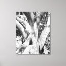 Search for memory image photography Black and white
