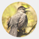 Search for singing bird stickers Nature