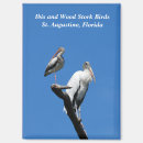 Search for wild birds magnets Tropical