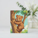 Search for bears climbing trees postcards Animal
