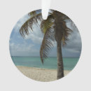 Search for aruba christmas tree decorations Tropics