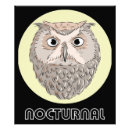 Search for nocturnal posters Owl