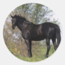 Search for thoroughbred horse stickers Standing