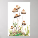 Search for fungi posters Brown