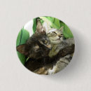 Search for adores badges Cat lover