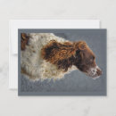 Search for springer postcards Pet