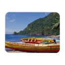 Search for sailboat magnets Palm tree