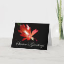 Search for cactus christmas cards Floral
