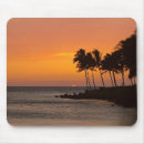Search for kona electronics Tropical