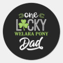 Search for rodeo life stickers Pony