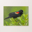 Search for for adults puzzles Black