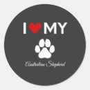 Search for australian shepherd dog stickers Puppy