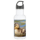 Search for birdwatching drinkware Animal