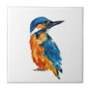 Search for kingfisher bird tiles Orange