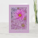 Search for gerbera cards invites Plants