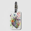 Search for anatomically accessories Heart