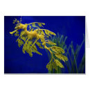 Search for deep sea fish postcards Animal