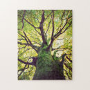 Search for ireland landscape puzzles Moss