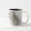 Search for english bulldog mugs Humour