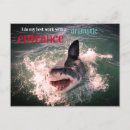 Search for breaching postcards Wildlife