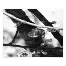 Search for puddles art Frog