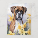 Search for yellow daffodil postcards Flowers