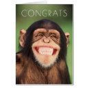 Search for chimpanzee photography Funny