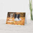 Search for papillon cards Photography