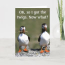 Search for puffin photography Puffins