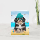 Search for havanese dog cards Animal