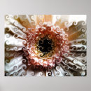 Search for gerber posters Daisy