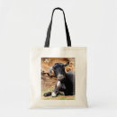 Search for goats bags Farms