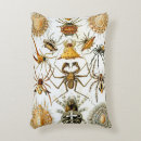 Search for arachnid cushions Halloween