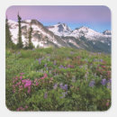 Search for north cascades stickers Usa