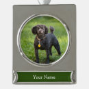 Search for toy poodle christmas tree decorations Pet
