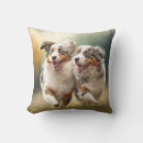 Search for australian shepherd cushions Puppy