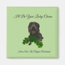 Search for doxies magnets Rainbow