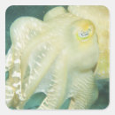 Search for translucent stickers Animal