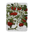 Search for tomatoes magnets Flowers