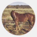 Search for pasture stickers Field