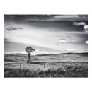 Search for windmill art Plains