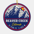 Search for beaver decor Colorado