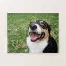Search for corgi puzzles Pembroke welsh corgi