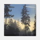 Search for stanley magnets Canada
