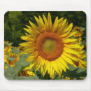 Search for sunflower seed mousepads Seeds